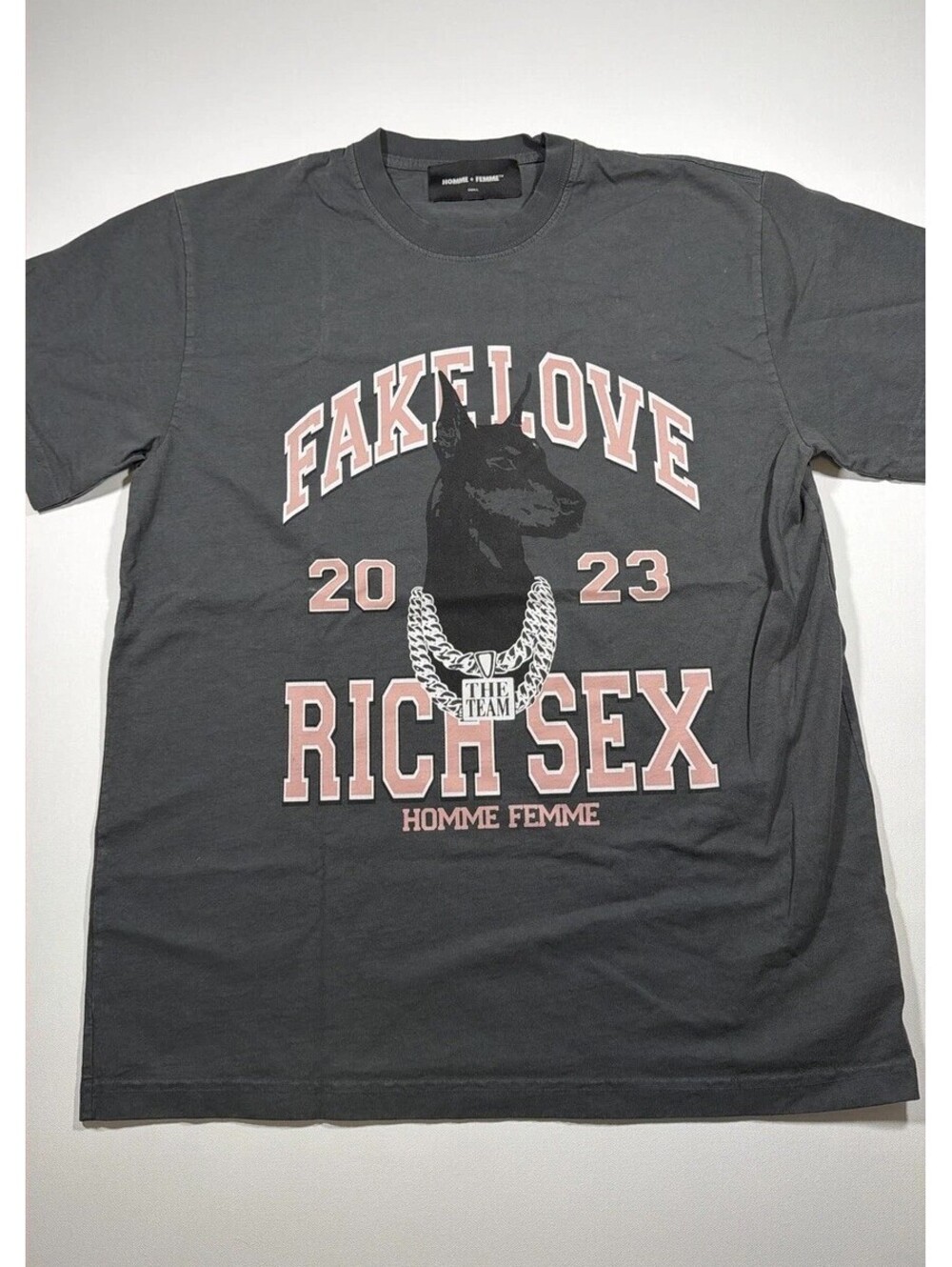 Homme Femme Mens Gray Doberman Love Rich Graphic T-Shirt Small